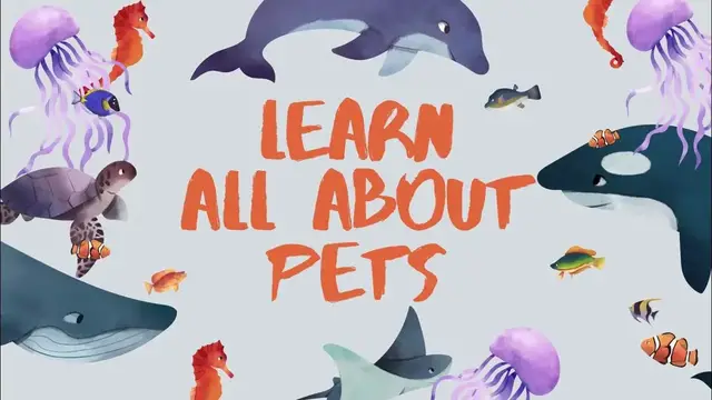 'Video thumbnail for Discover Joyful Paws: Unleash the World of Pet Happiness!'