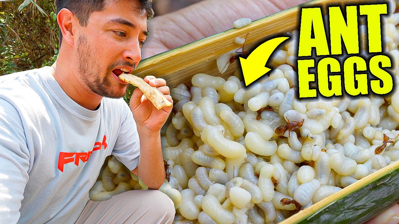 Video thumbnail for Uncovering Thailand’s EXOTIC FOOD of the Karen Tribe I Can’t Believe They Eat This!!