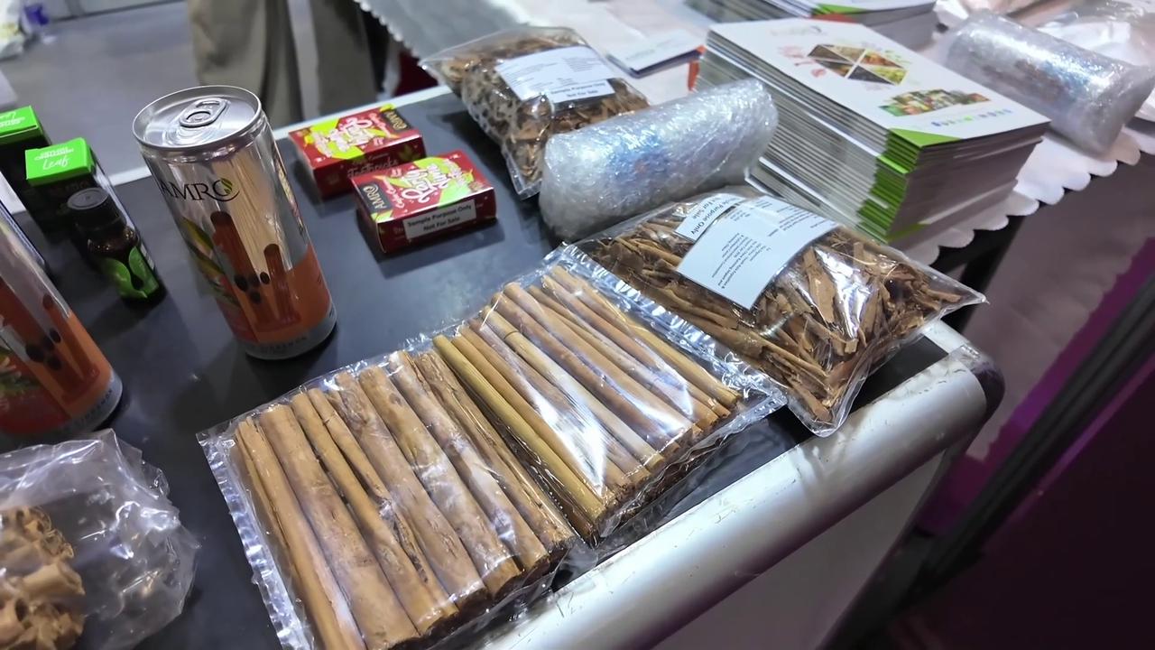Video thumbnail for China: Exhibitors target Chinese consumers at China-South Asia Expo.