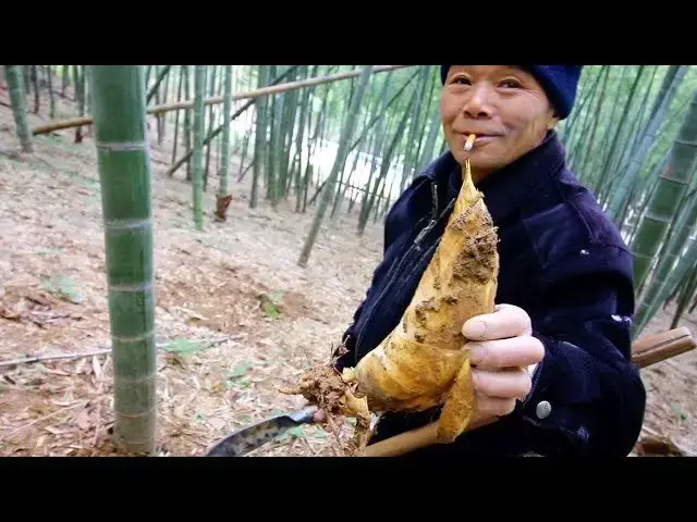 'Video thumbnail for CHINESE STREET FOOD - BAMBOO HUNTING + Village Food tour in China | EXOTIC Street Food in China'