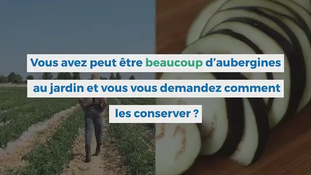 Video thumbnail for Comment congeler les aubergines (crues ou cuites)