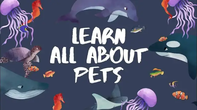 'Video thumbnail for Discover Joyful Paws: Unleash the World of Pet Happiness!'