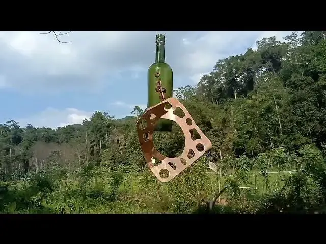 Video thumbnail for A wine bottle with copper plates to repel birds