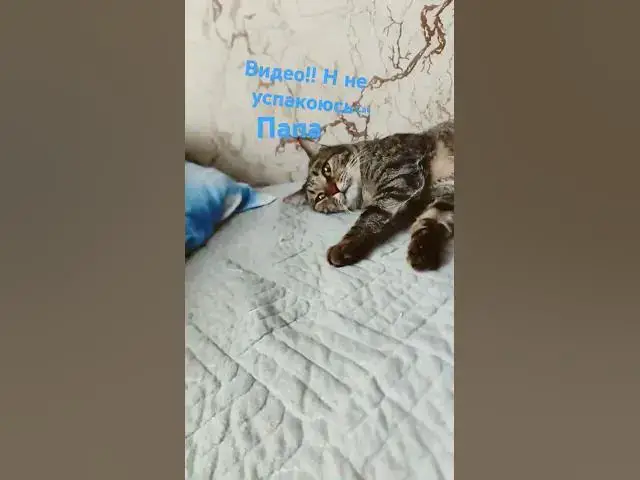 Video thumbnail for видео обзор комментариев