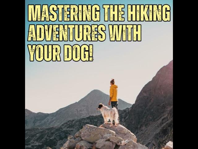 Video thumbnail for Mastering Safe Hiking With Your Dog