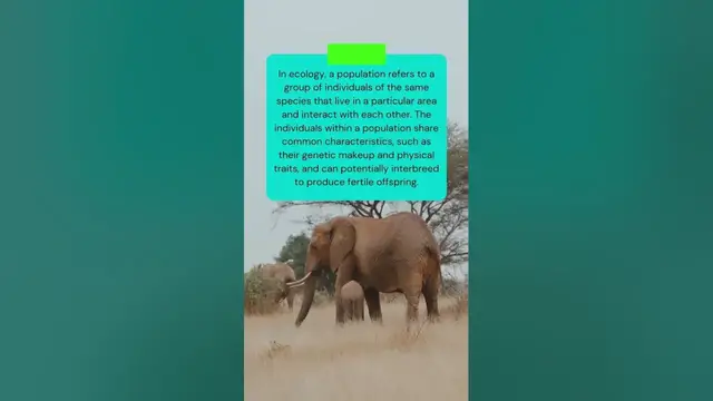 Video thumbnail for This is the meaning of POPULATION in ECOLOGY #shorts