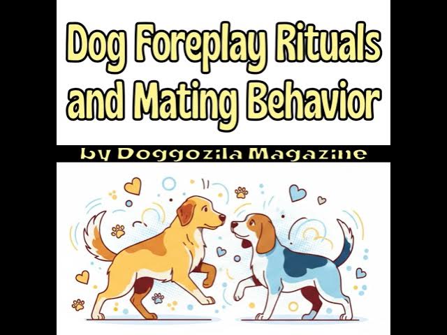 Video thumbnail for The Invisible Language of Dog Mating Rituals and Behavior
