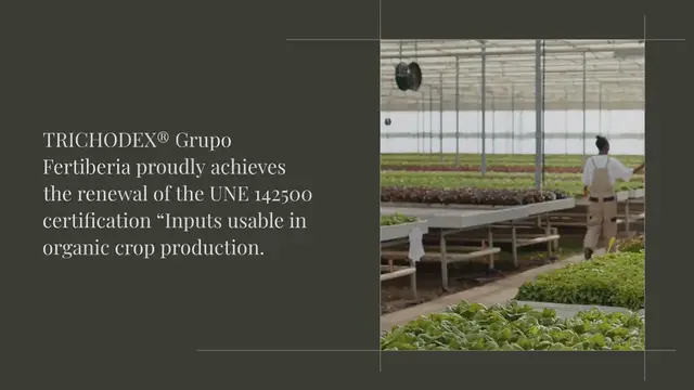 Video thumbnail for Renewal of UNE 142500 and UNE 315500 Certificates