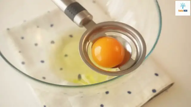 Video thumbnail for Quick Fluffy Omelet Recipe with 3 Eggs