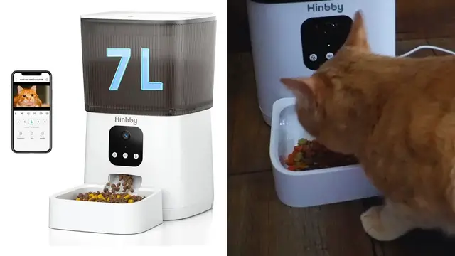 Video thumbnail for Everything To Know About This Hinbby Automatic Feeder | Full Review
