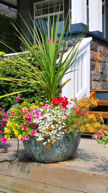 'Video thumbnail for 7 Unique Ways to Decorate Your Porch'
