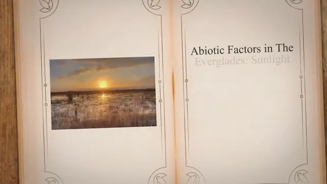 Video thumbnail for Unveiling the Secrets of the Everglades: Exploring the Vital Abiotic Factors that Shape this Dynamic Ecosystem