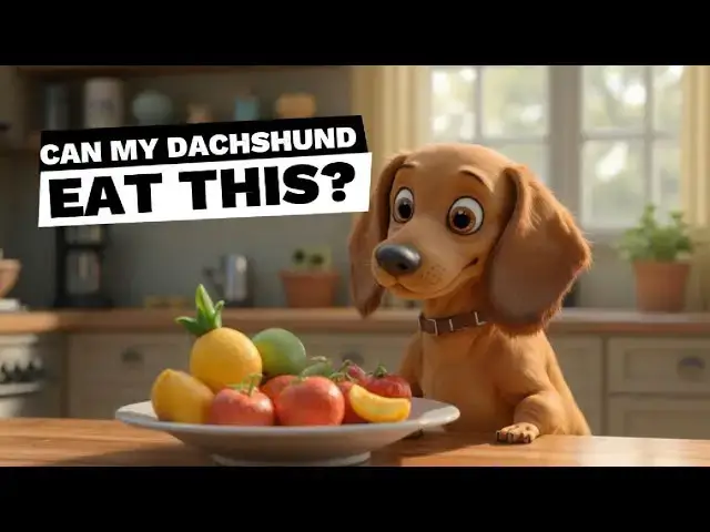 'Video thumbnail for Can My Dachshund Eat This Fruits?'