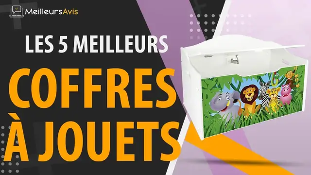Video thumbnail for ⭐️ MEILLEUR COFFRE À JOUETS - Avis & Guide d'achat (Comparatif 2021)