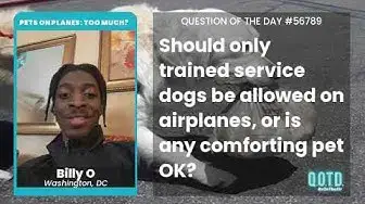 Video thumbnail for Billy wants all the dogs on all the planes. The new Hotel for Dogs!