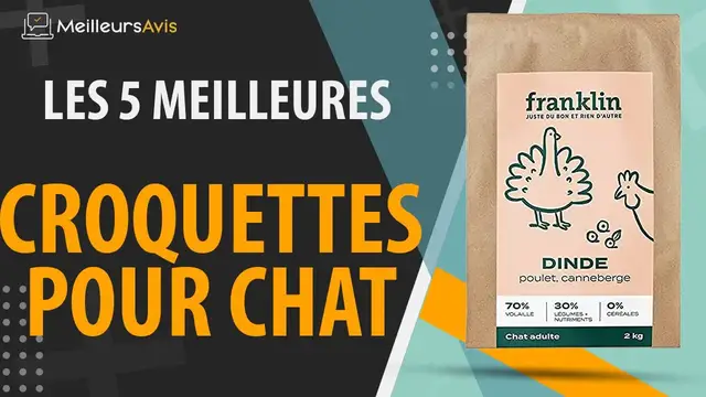Video thumbnail for ⭐️ MEILLEURES CROQUETTES POUR CHAT - Avis & Guide d'achat (Comparatif 2021)