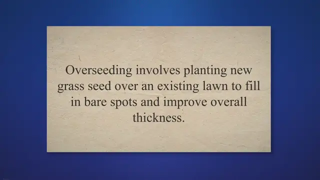 'Video thumbnail for Revitalize Your Lawn: A Comprehensive Guide to Overseeding Without Aerating'