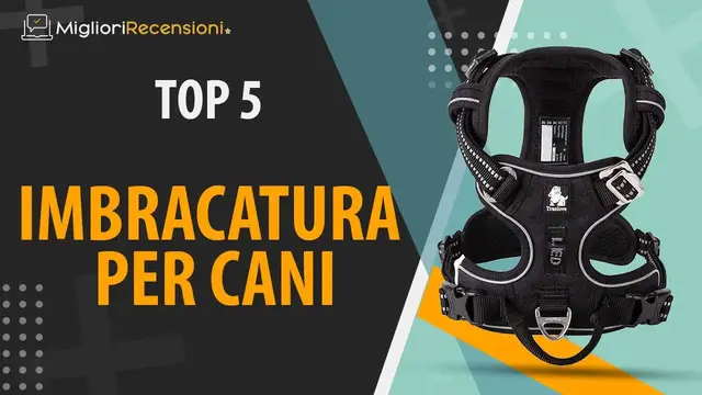 Video thumbnail for ⭐️ MIGLIORE IMBRACATURA DEL CANE - Consigli e Guida all'acquisto (Comparativo 2021)