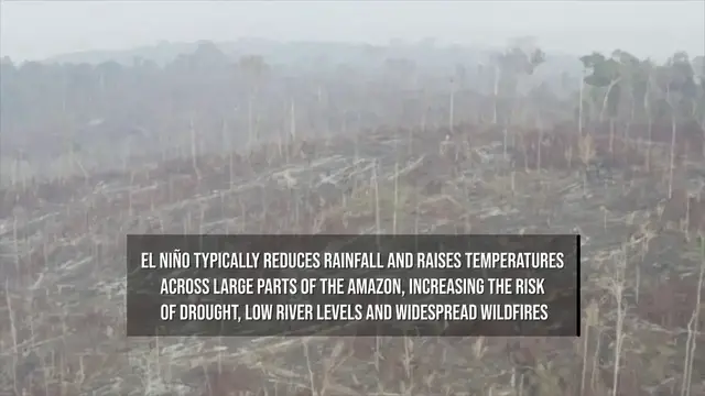 Video thumbnail for Powerful El Niño Raises Fears of Severe Amazon Drought.