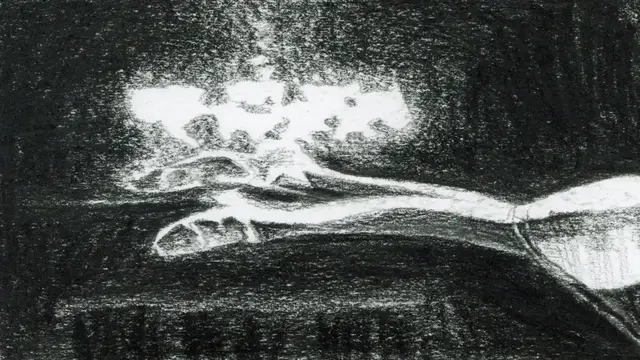 Video thumbnail for Je ne rêve qu‘en noir et blanc