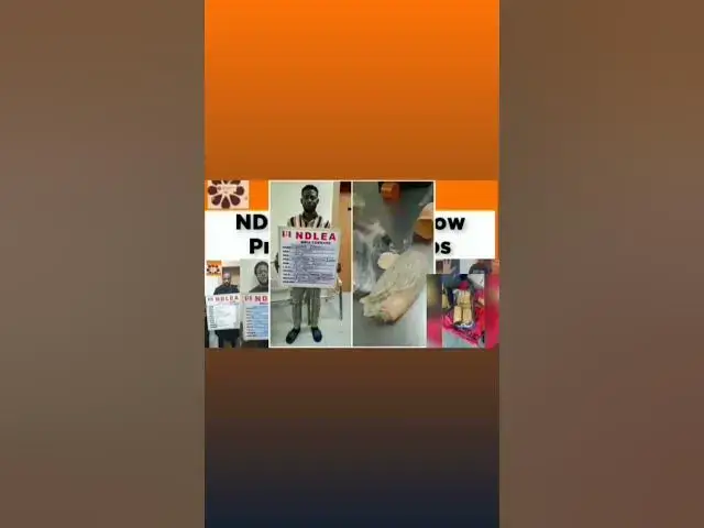 Video thumbnail for NDLEA Arrests Show Promoter In Lagos ~ OsazuwaAkonedo