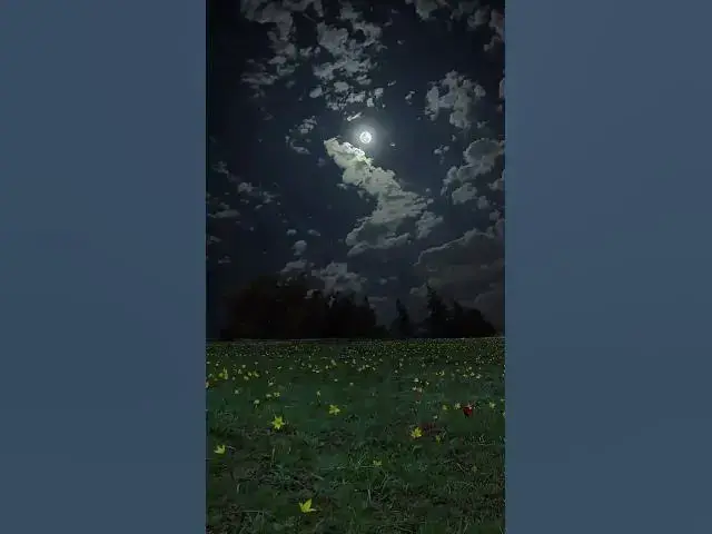 Video thumbnail for Lullaby of the Fairies #lofi #lofimusic #lofisong #lofichill #lofisongs #short #shorts #shortvideo