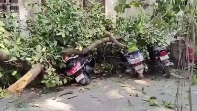 Video thumbnail for India: Banyan Tree Collapses at Crowded Vegetable Market in Surat, Gujarat.