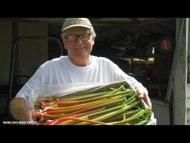 Video thumbnail for Dangerous Foods In The World Health Awareness