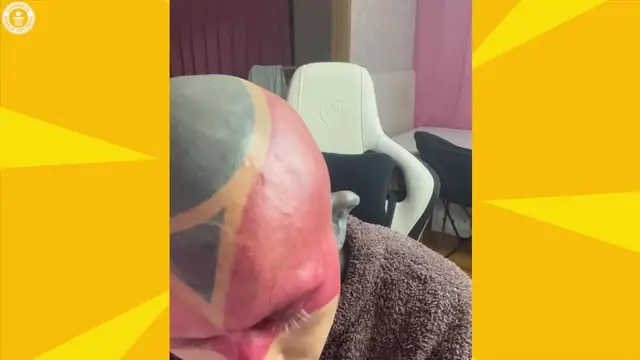 'Video thumbnail for The largest conch flesh tunnel'