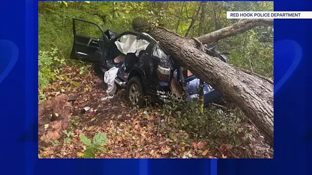 Video thumbnail for Woman injured when tree crushes her car on Route 9G
