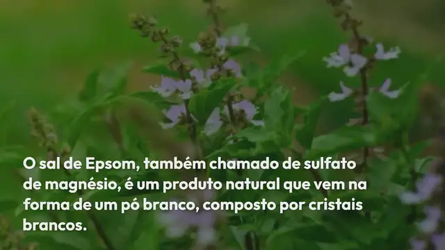 Video thumbnail for Despeje sal no jardim: o truque do jardineiro que sempre funciona