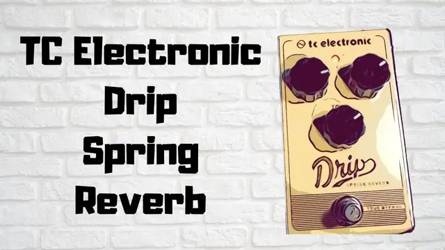 Video thumbnail for TC Electronic Drip Spring Reverb Demo