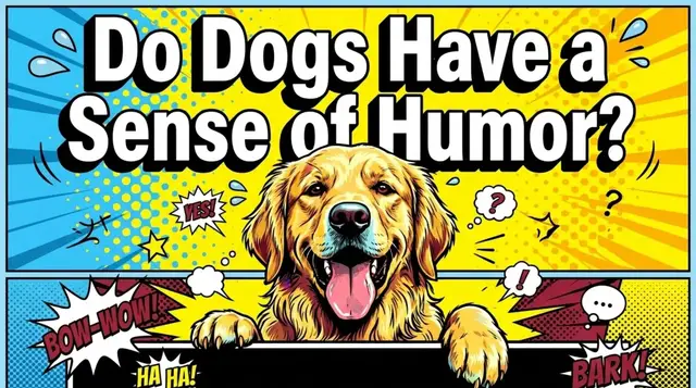 Video thumbnail for Do Dogs Have a Sense of Humor?