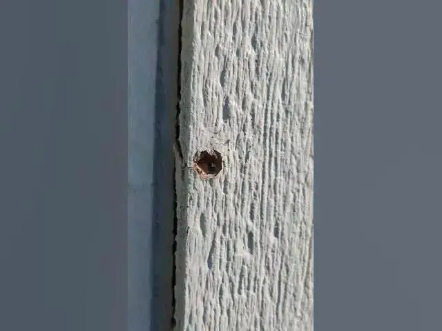 Video thumbnail for Why I Don't Like Masonite Siding #Shorts