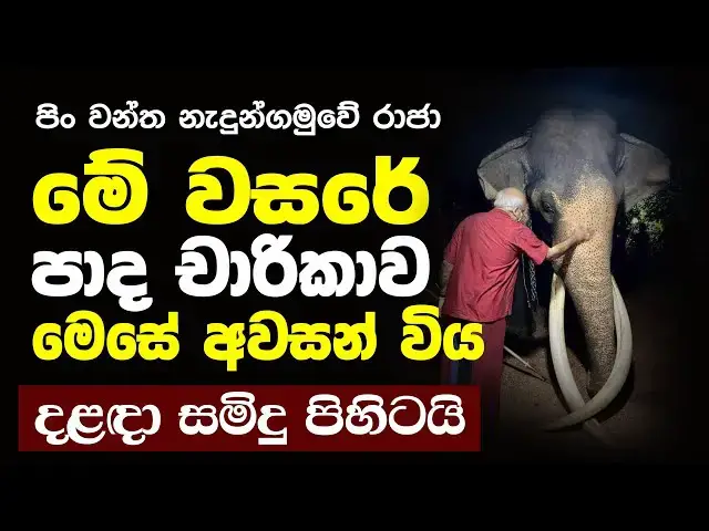 Video thumbnail for Nedungamuwe Raja has just finished this year's trek