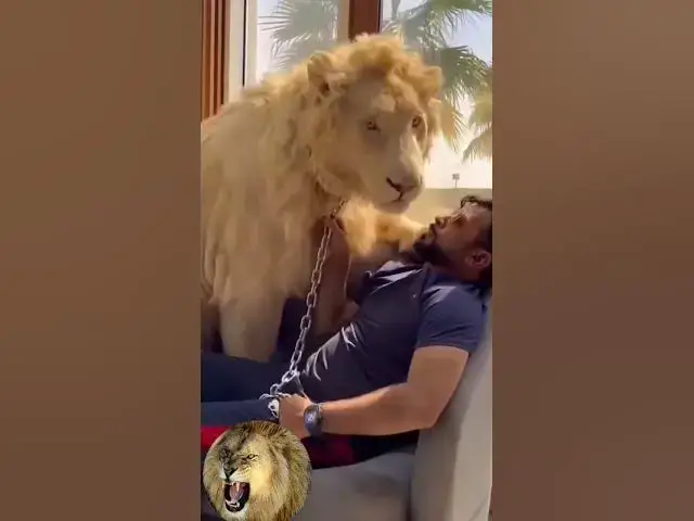 Video thumbnail for भारतीय बाघ प्रशिक्षक ने अपनी ताकत का परीक्षण किया