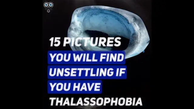 Video thumbnail for 15 Pictures You Will Find Unsettling if You Have "Thalassophobia"