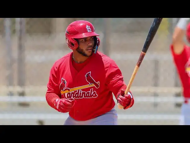 'Video thumbnail for Rainiel Rodriguez 2025 Minor League Highlights!'
