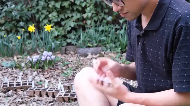 Video thumbnail for How to Grow Plants from Seeds – A Beginner’s Guide!