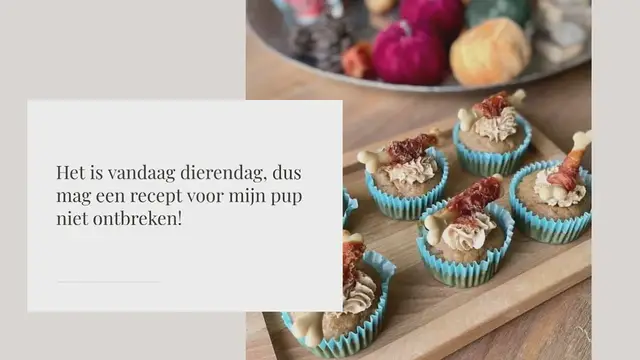 Video thumbnail for Pupcakes, de lekkerste cupcakes voor je pup!