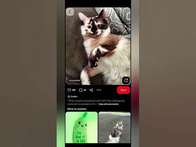 Video thumbnail for #pintrest #artchallenge #teenartist #cutedrawings