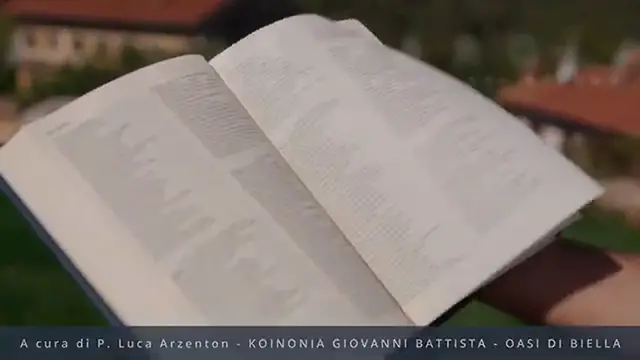 Video thumbnail for Commento al vangelodelgiorno - LASCIATI GUIDARE DALLO SPIRITO SANTO! - Gv 165-11