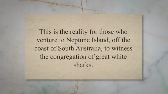 Video thumbnail for Great White Sharks Flock to Neptune Island for Seal Feasts