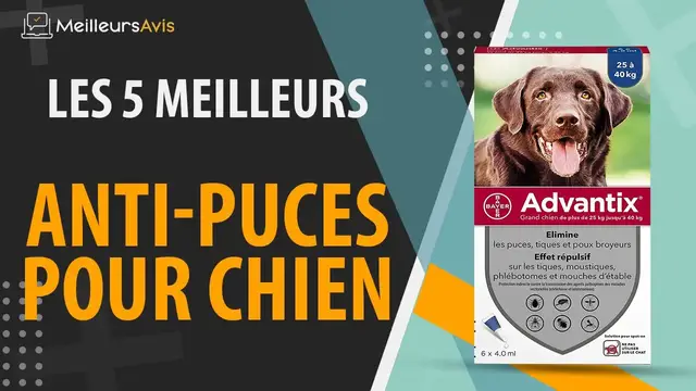 Video thumbnail for ⭐️ MEILLEUR ANTI-PUCES POUR CHIEN - Avis & Guide d'achat (Comparatif 2021)