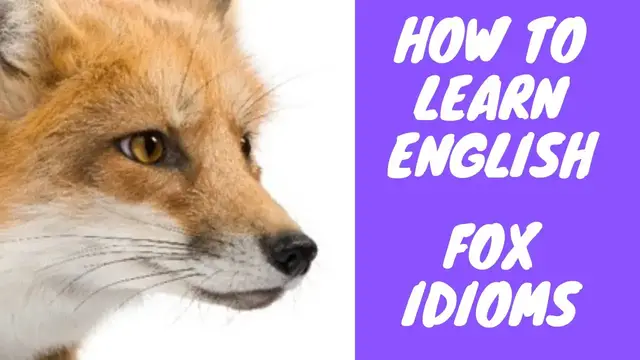 Video thumbnail for How to Learn English:  Topic, Word and Idioms:  Fox
