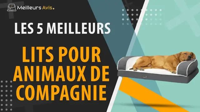 Video thumbnail for ⭐️ MEILLEUR LIT POUR ANIMAL DE COMPAGNIE - Comparatif 2024