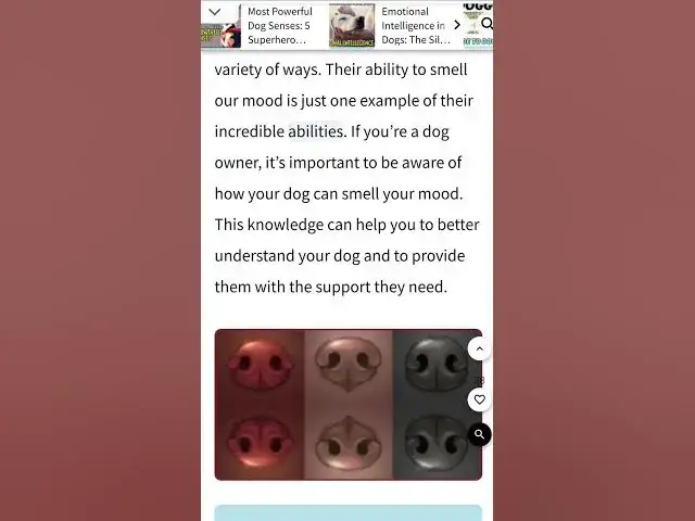 'Video thumbnail for Dogs Can Smell Your Mood: Superhero Dog Ability by Doggozila Magazine'