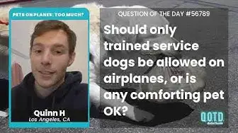 Video thumbnail for Quinn says: can't all animals be service animals? Great point!