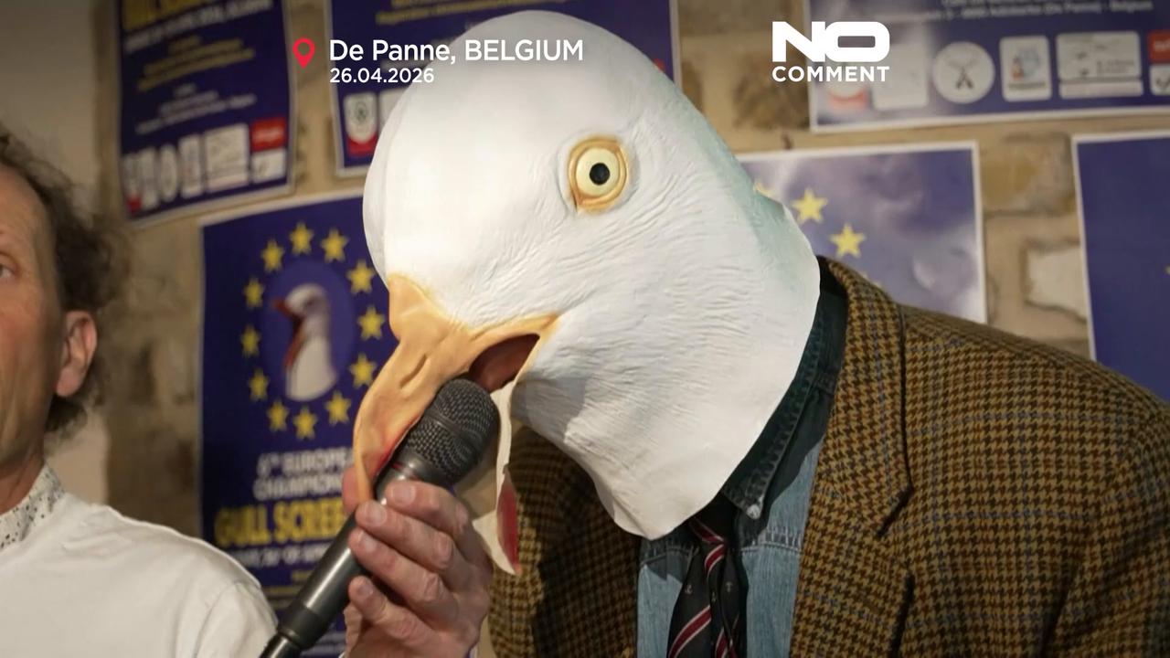 Video thumbnail for Watch: Seagull imitators compete for the best screech