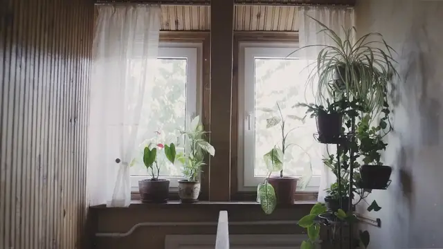 Video thumbnail for 22 Indoor Garden Ideas for Small Apartments